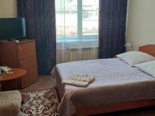 Гостевой дом Пражечка Белово Двухместный номер Делюкс с 1 кроватью-3